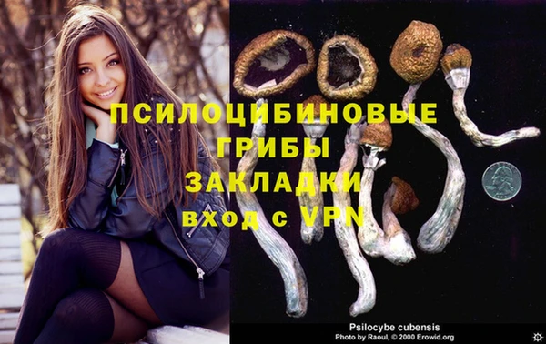 соль ск Алексеевка