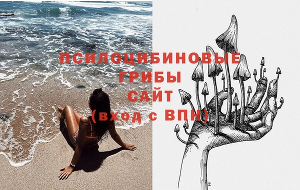 соль ск Алексеевка