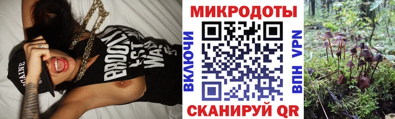 Псилоцибиновые грибы Magic Shrooms наркотики Черноголовка