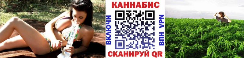 Бошки марихуана сатива  Черноголовка 