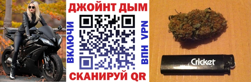 Конопля тримм Черноголовка